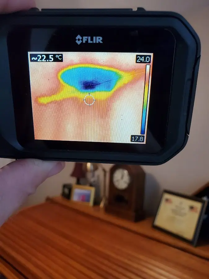 Thermal imaging inspection for water damage in Herndon